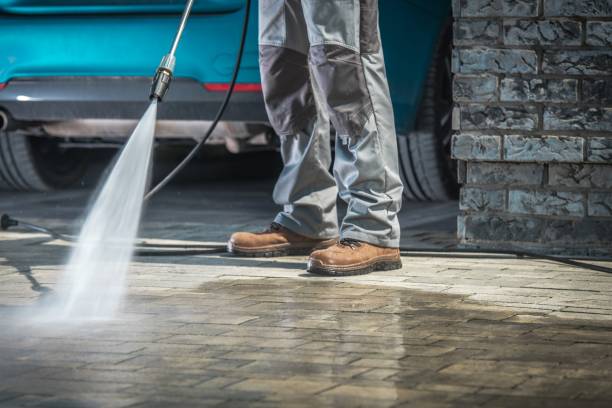 Professional  Pressure Washing Services in Flowery Branch, GA