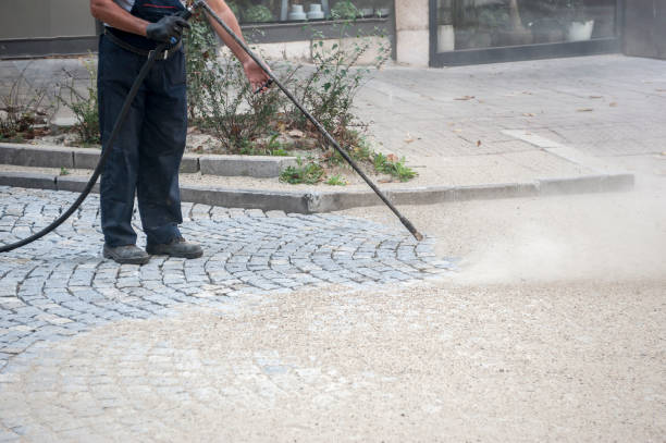 Animal Enclosure Cleaning in Flowery Branch, GA